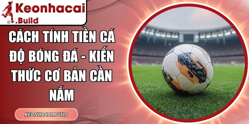 Cách tính tiền cá độ bóng đá