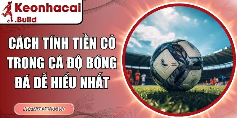 Cách tính tiền cỏ trong cá độ bóng đá