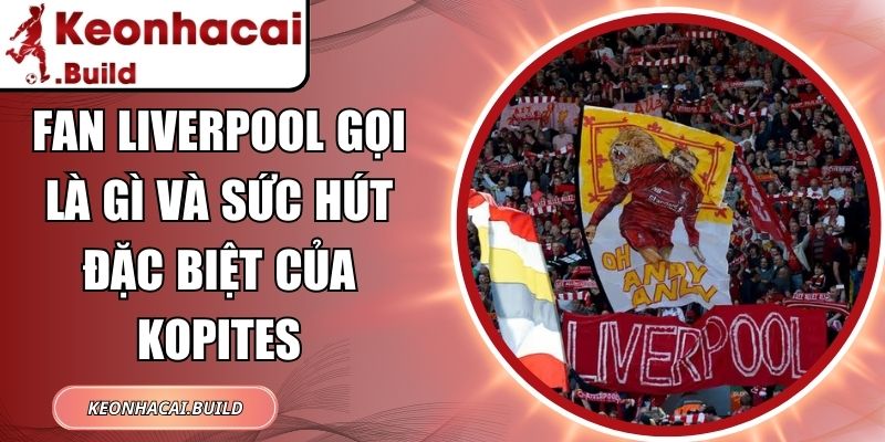 Fan Liverpool Gọi Là Gì Và Sức Hút Đặc Biệt Của Kopites 10 Fan Liverpool Gọi Là Gì