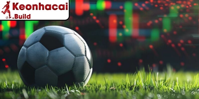 Những dạng cửa dễ chơi, đáng để thử sức cho người mới