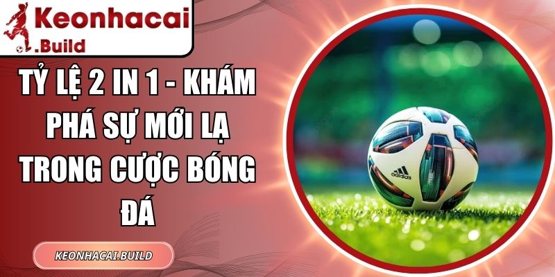 Tỷ Lệ 2 In 1